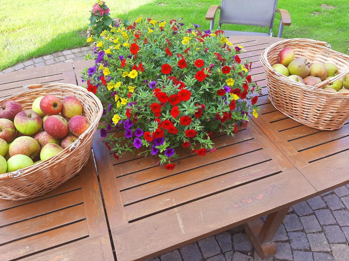 B&B Hoptille Hilaard Exteriör bild